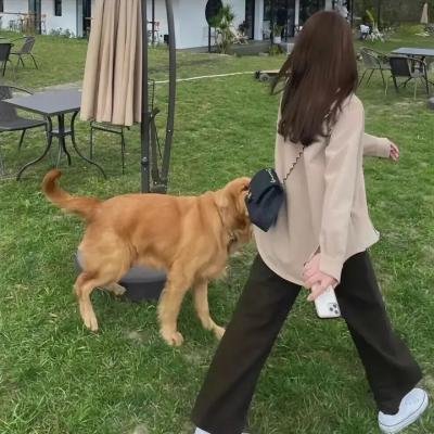 美丽破坏者第二季